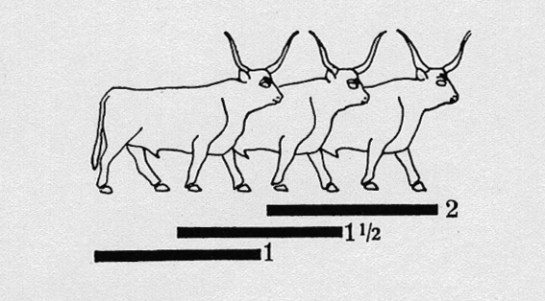 image2_A_and_Pangeometry_El_Lissitzky_1925